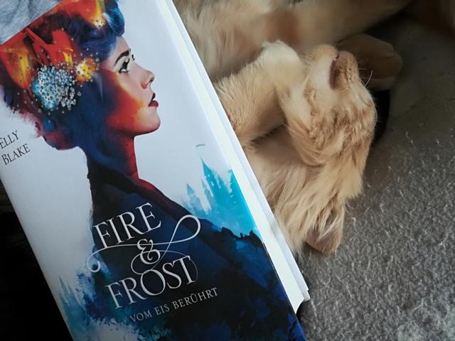 [Rezension] Fantasy *** Fire & Frost – Vom Eis berührt *** vieles ist bekannt, trotzdem eine lesenswerte Geschichte…