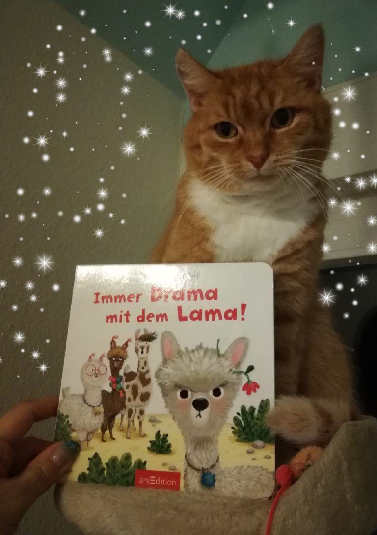 [Rezension] Kinderbuch/Bilderbuch *** Immer Drama mit dem Lama! *** geniale Illustrationen!
