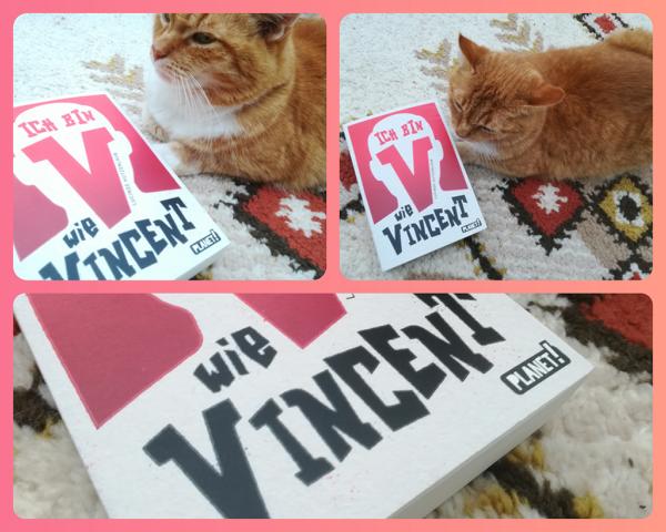 [Rezension] Jugendbuch *** Ich bin V wie Vincent *** von Mobbing und Freundschaft…