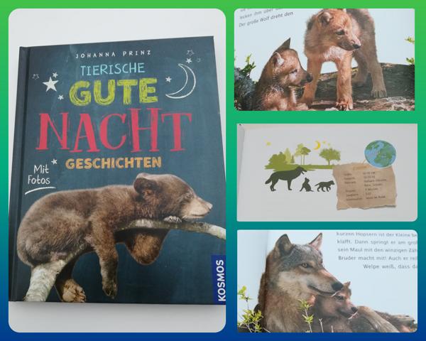[Rezension] Kinderbuch/Bilderbuch/Sachbuch *** Tierische Gute Nacht Geschichten *** sehr goldig…