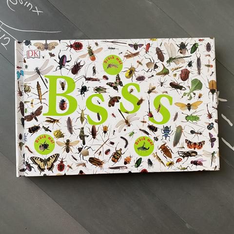 [Rezension] Sachbuch/Kinderbuch *** Bssss – Die ganze Welt der Insekten *** was für ein großartiges Buch…