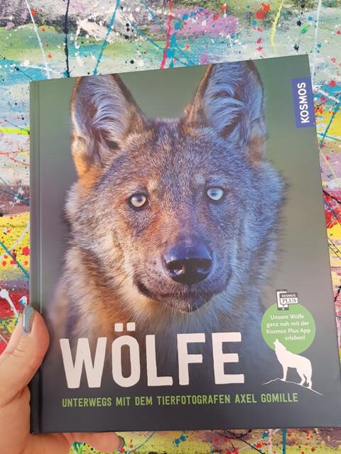 [Rezension] Sachbuch/Kinderbuch *** Wölfe – Unterwegs mit Tierfotograf Axel Gomille *** grandiose Fotos!