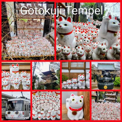[Veranstaltungstipps] Reise *** Japan – unsere 3 wöchige Rundreise *** Gotokuji-Tempel – viele, viele Winkekatzen (Maneki-neko) *** sehr süß!