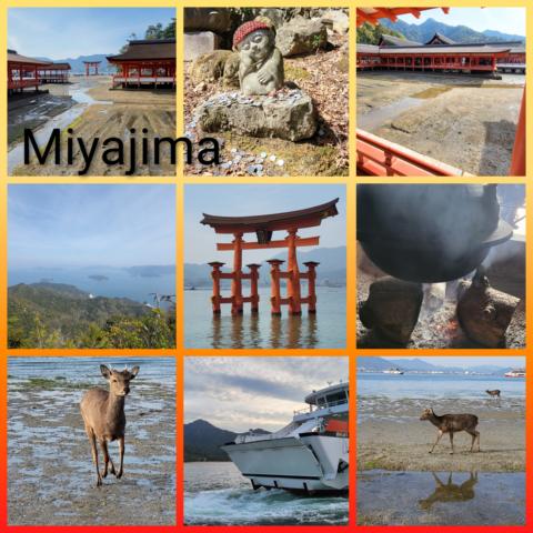[Reise] *** Japan – unsere 3 wöchige Rundreise *** Ausflug nach Miyajima *** sehr touristisch, aber wirklich sehenswert!